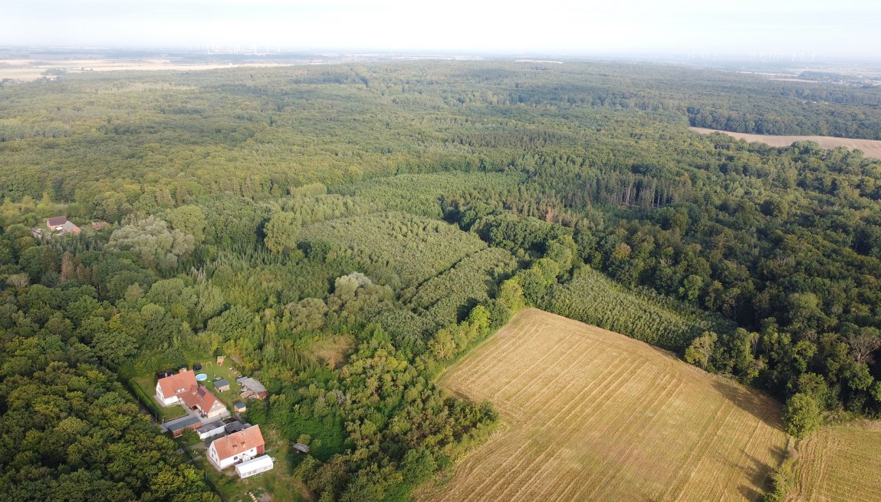 Klimawald Golchen, © Landesforst MV Klimawald Golchen, © Landesforst MV