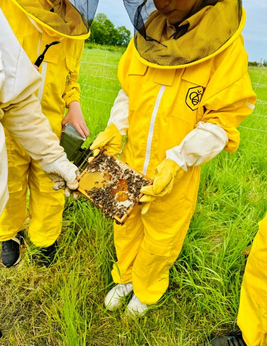 Schulen & Kitas sowie private Führungen, © Anja Heinemann