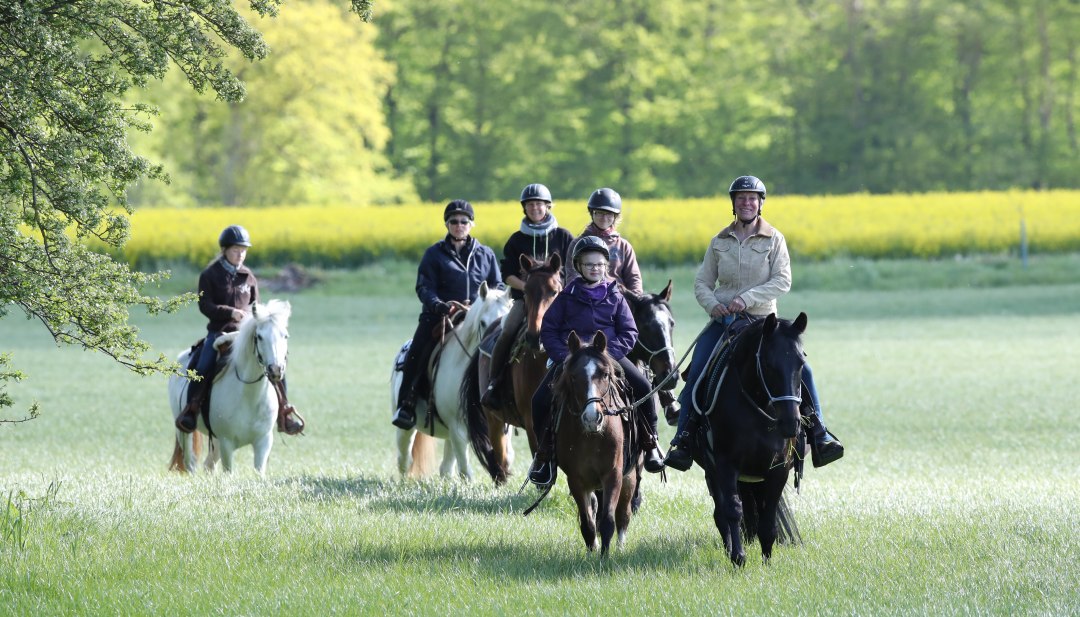 Tocht over groene weiden aan de rand van het bos // &copy; MV-T/Pantel