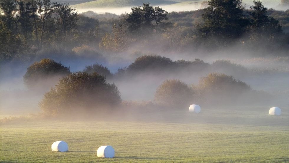 Romantisch sch&ouml;n, am Morgen die Stille der Natur und einen m&auml;rchenhaften Blick auf die Felder genie&szlig;en. // &copy; LANDURLAUB MV/Margit Wild