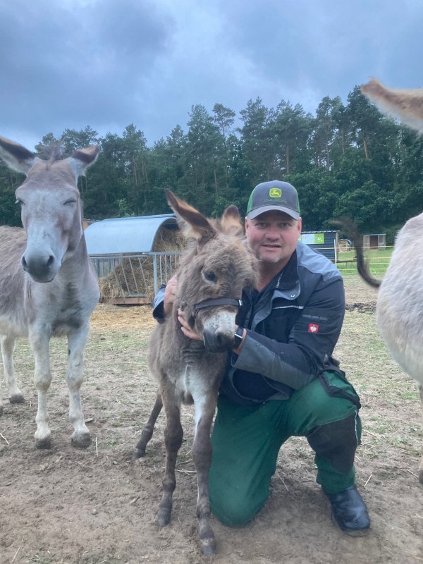Landwirtschaft in Freest // © henry Schönrock Landwirtschaft in Freest // © henry Schönrock