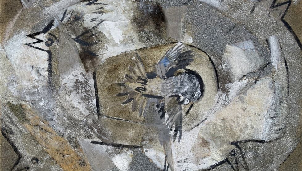 &copy; Britta Naumann-Knapp