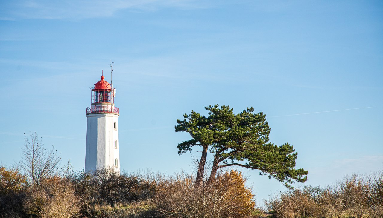 Insel Hiddensee im Herbst erleben, &copy; Wei&szlig;e Flotte GmbH