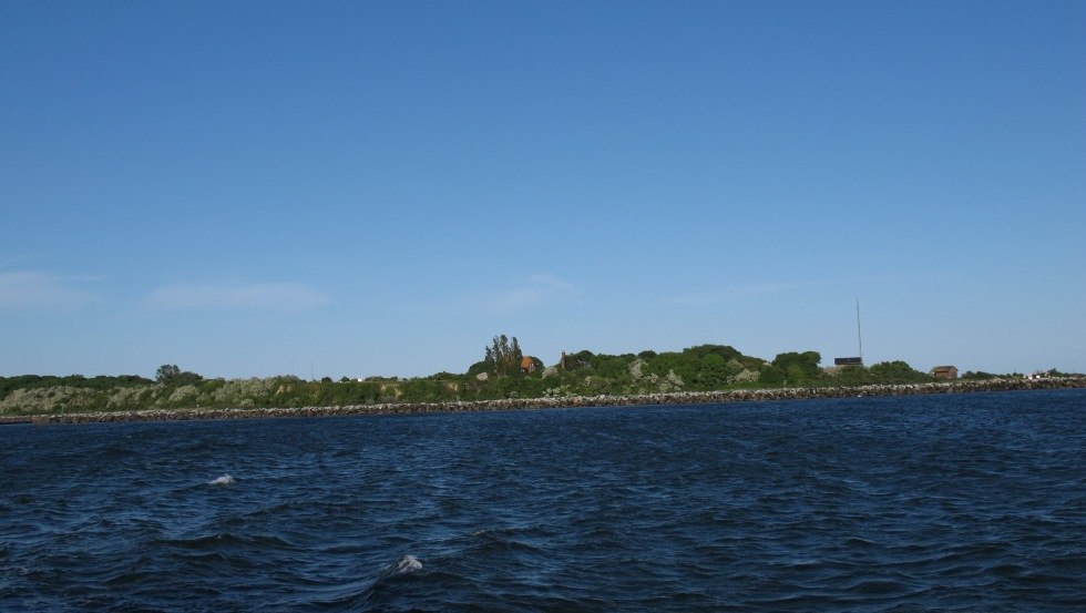 Seeseitiger Blick auf die Insel mit der biologischen Station // © MV-T Seeseitiger Blick auf die Insel mit der biologischen Station // © MV-T