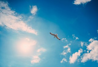 Fahrt ins Blaue &ndash; &Uuml;berraschung garantiert! // &copy; Foto von Artem Pechenkin auf Unsplash