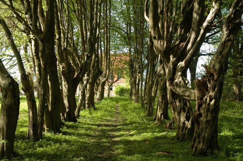Bospark Hessenburg // &copy; Hessenburg