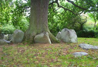 &copy; Einsamer Sch&uuml;tze CC-BY-SA-4.0