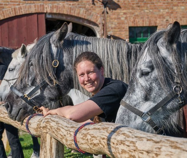 Spanish-Norman Horses vor dem Kornspeicher auf dem Gestüt Herian // © Michael Schauenberg Spanish-Norman Horses vor dem Kornspeicher auf dem Gestüt Herian // © Michael Schauenberg