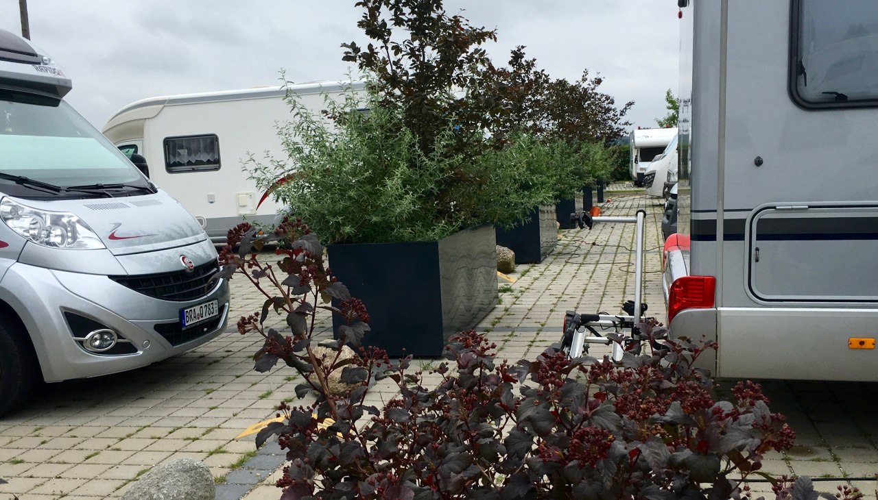 ...nun wird es grün, © Roland E. Winkler ...nun wird es grün, © Roland E. Winkler