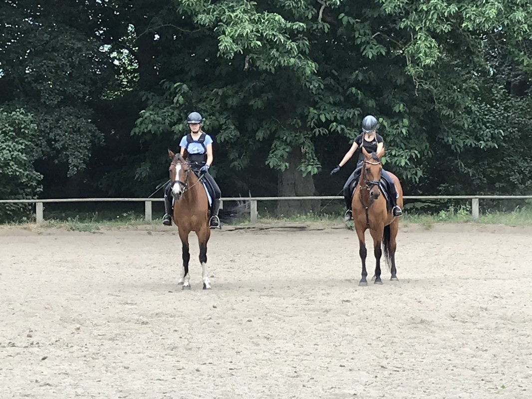 Dressurtraining auf dem Platz in Daugzin // © Karoline Görs Dressurtraining auf dem Platz in Daugzin // © Karoline Görs