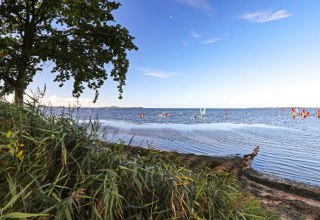 © TMV, Danny Gohlke © TMV, Danny Gohlke