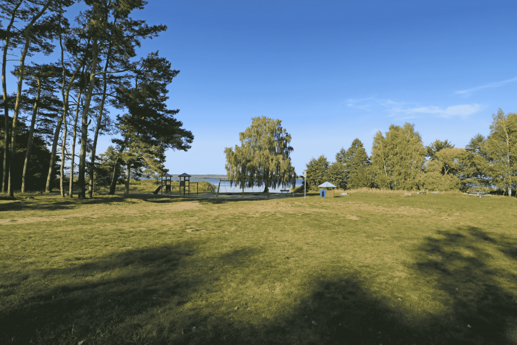 Wiese an der Badestelle Rieth, © TMV/Gohlke Wiese an der Badestelle Rieth, © TMV/Gohlke