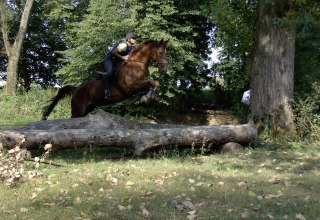 Logo Reitsportzentrum Sabine Bender // &copy; Sabine Bender