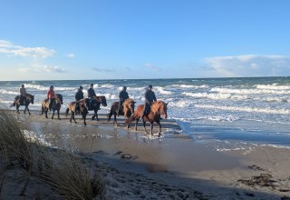 Reiten am Ostseestrand // © Islandpferdehof Fischland Reiten am Ostseestrand // © Islandpferdehof Fischland