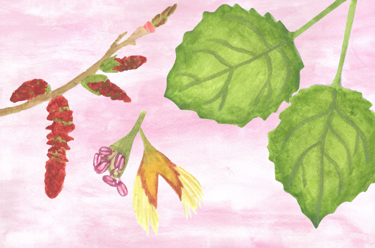 &copy; M&uuml;ritzeum