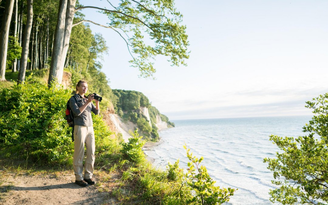 Im Einklang mit der Natur: Entdeckungsreise entlang des Hochuferwegs im majestätischen Nationalpark Jasmund, umgeben von den imposanten Kreidefelsen. // © MV-T/Roth Im Einklang mit der Natur: Entdeckungsreise entlang des Hochuferwegs im majestätischen Nationalpark Jasmund, umgeben von den imposanten Kreidefelsen. // © MV-T/Roth