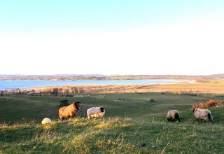 © KV Mönchgut © KV Mönchgut