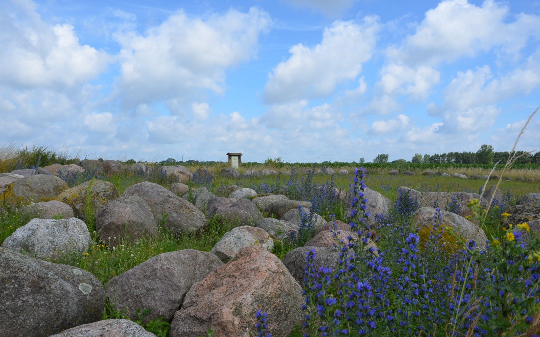Findlingsgarten Carwitz, © Kurverwaltung FSL Findlingsgarten Carwitz, © Kurverwaltung FSL