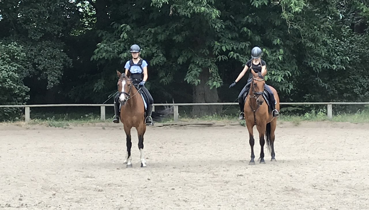 Dressurtraining auf dem Platz in Daugzin, © Karoline Görs Dressurtraining auf dem Platz in Daugzin, © Karoline Görs