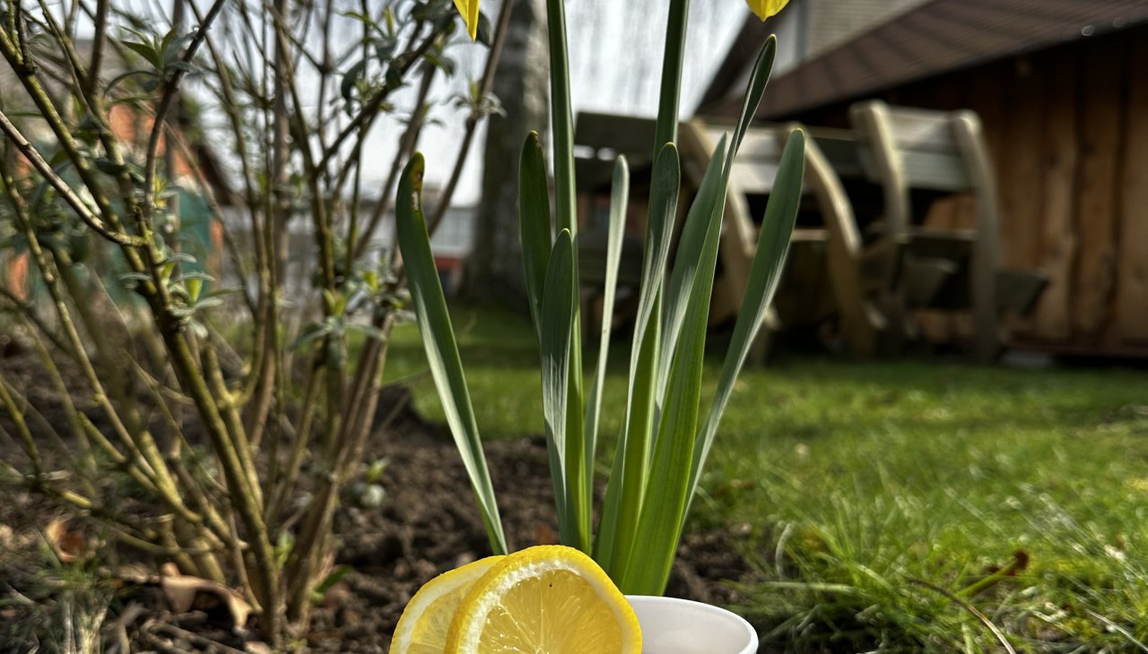 Vrouwendag met de Bernstein Ruiters, © de Vrouwendag met de Bernstein Ruiters, © de