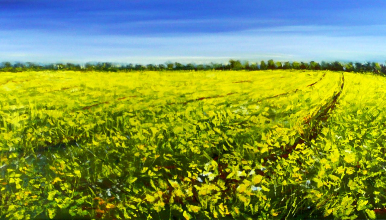 Raps, &copy; Matthias Heinz