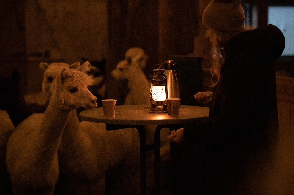 &copy; Sven Hasener / Gutes aus Vorpommern