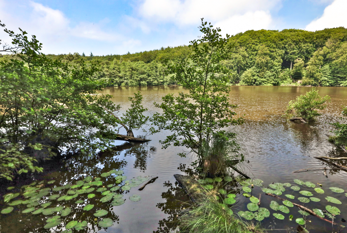 © TMV/Gohlke © TMV/Gohlke