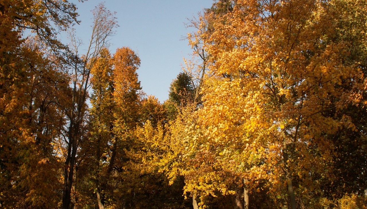 Ein Parkspaziergang im Herbst, © Kröger Ein Parkspaziergang im Herbst, © Kröger