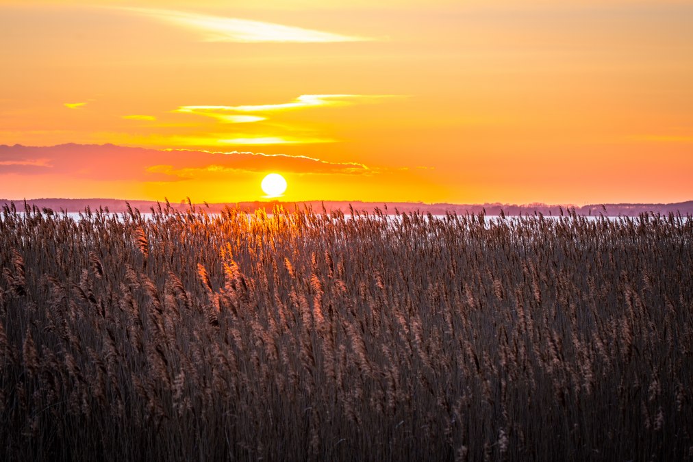 Radwanderung ins Achterland, &copy; insel-fotograf.eu, Andreas Dumke