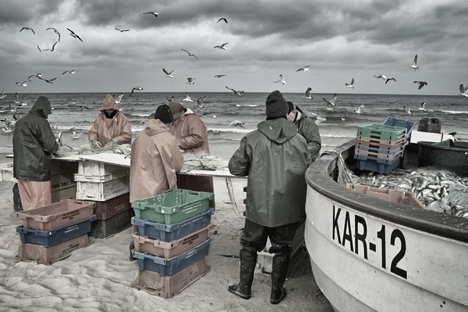 &copy; Die Usedomer Fischer.jpg