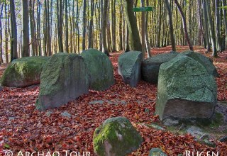 versteckt in den Buchenwäldern der Stubnitz liegt das Großsteingrab "Pfennigkasten" // © Archäo Tour Rügen versteckt in den Buchenwäldern der Stubnitz liegt das Großsteingrab "Pfennigkasten" // © Archäo Tour Rügen