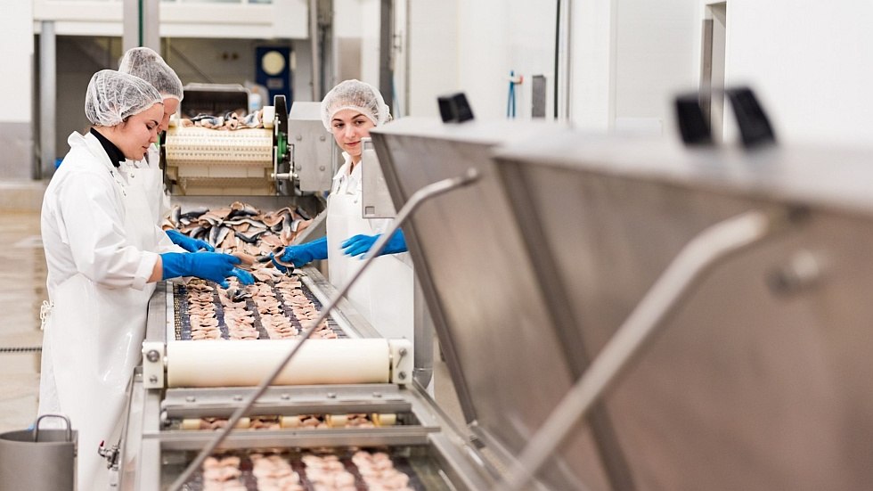 Een blik op de productie, © Schwaaner Fischwaren GmbH Een blik op de productie, © Schwaaner Fischwaren GmbH