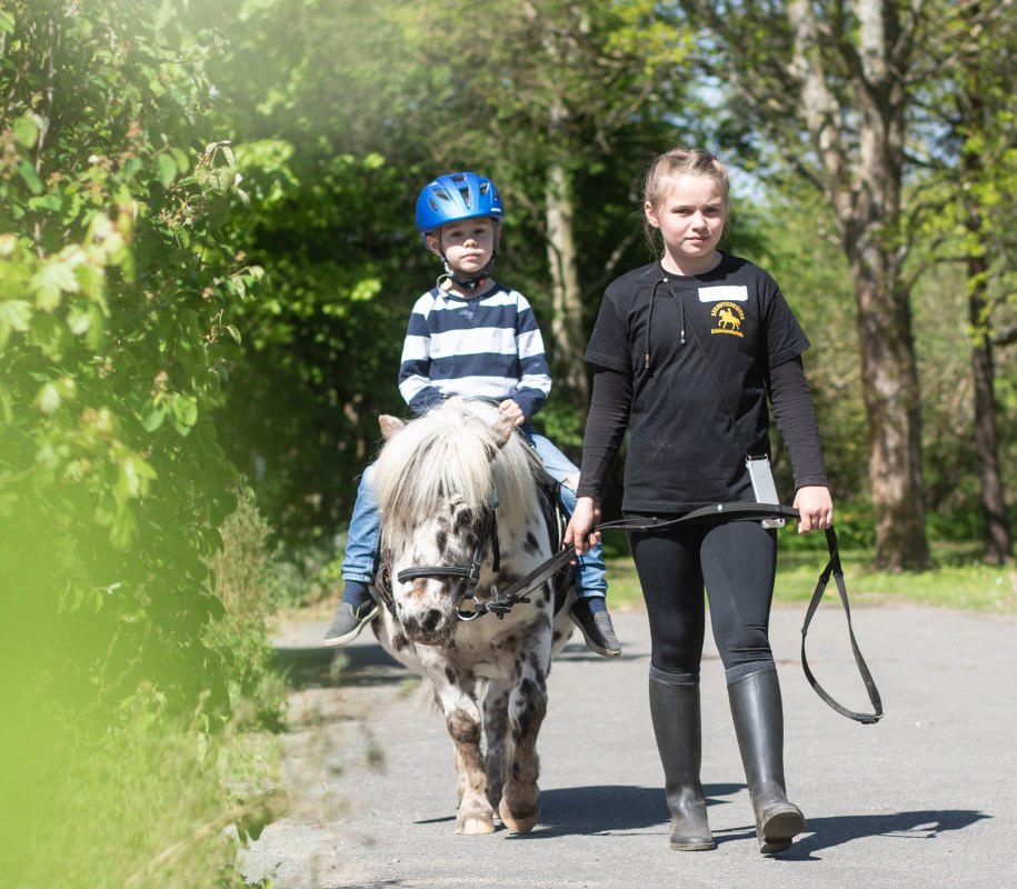 Tag im Pferdestall für Kinder ab 6 Jahren: Reiten, Ponyspiele, Pflege & Betreuung von 10–15 Uhr. Erlebnisreicher Tag auf dem Reiterhof. // © de Tag im Pferdestall für Kinder ab 6 Jahren: Reiten, Ponyspiele, Pflege & Betreuung von 10–15 Uhr. Erlebnisreicher Tag auf dem Reiterhof. // © de