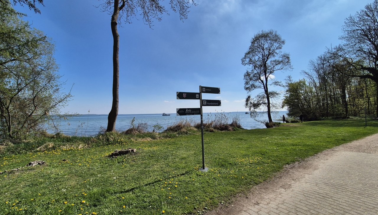 Hundebadestrand Klink, © Gina Schulenberg Hundebadestrand Klink, © Gina Schulenberg