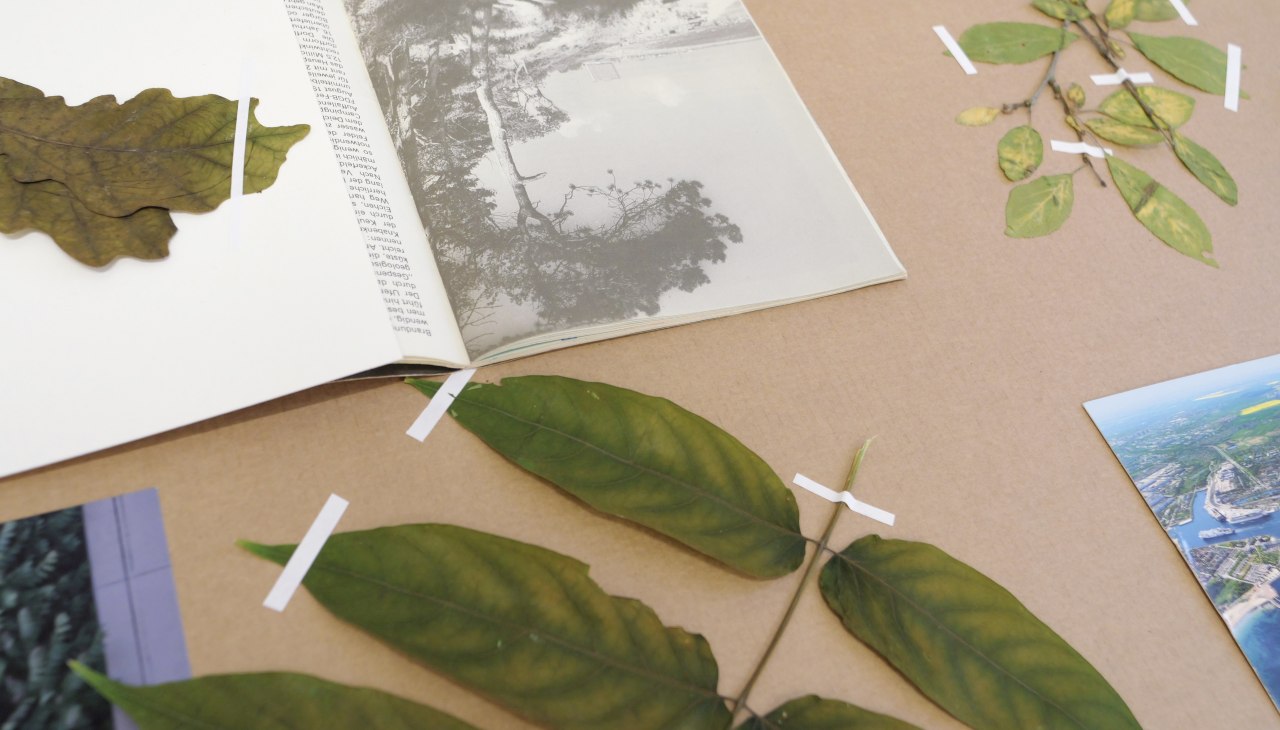 Stones Move. Trees Speak., &copy; from "StonesMove. Trees Speak". Courtesy Helene Sommer