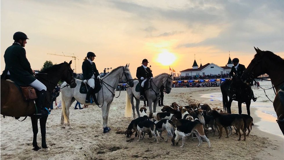 Het Mecklenburgse peloton voor het liefdadigheidsevenement Usedom Cross Country onder leiding van de heer Rodenberg // © Reitanlage Rodenberg Het Mecklenburgse peloton voor het liefdadigheidsevenement Usedom Cross Country onder leiding van de heer Rodenberg // © Reitanlage Rodenberg