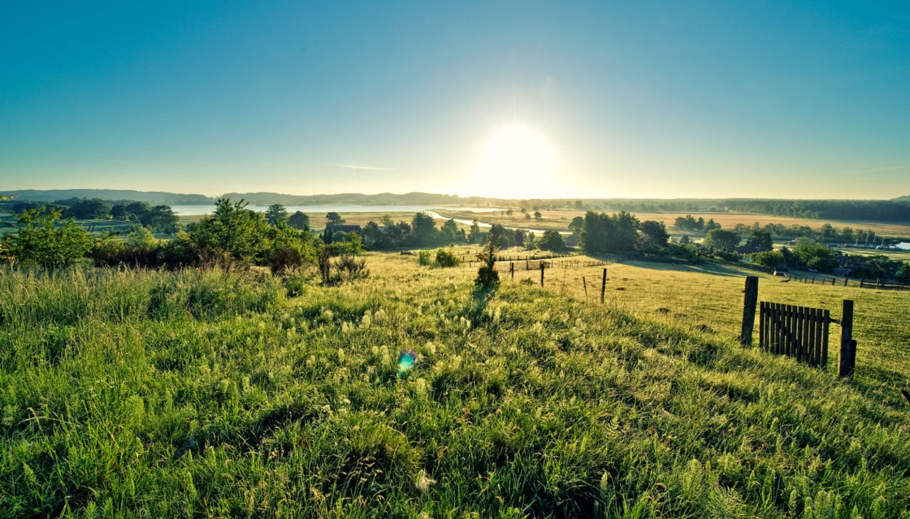 Wiesenfest Moritzdorf_Pocha, © Burwitz-Pocha Wiesenfest Moritzdorf_Pocha, © Burwitz-Pocha