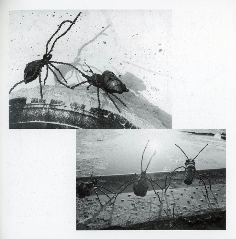 &copy; Tobi M&ouml;hring