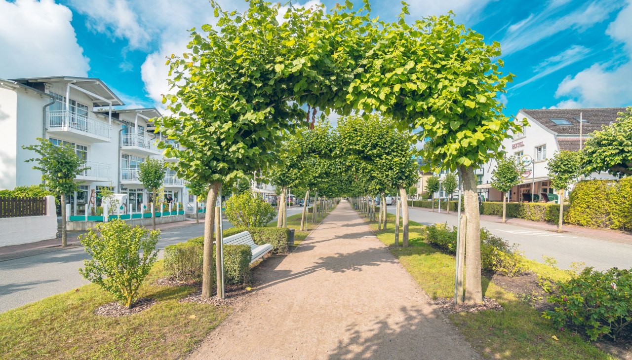 Fr&uuml;hlingswanderung, &copy; Kurverwaltung Ostseebad Baabe