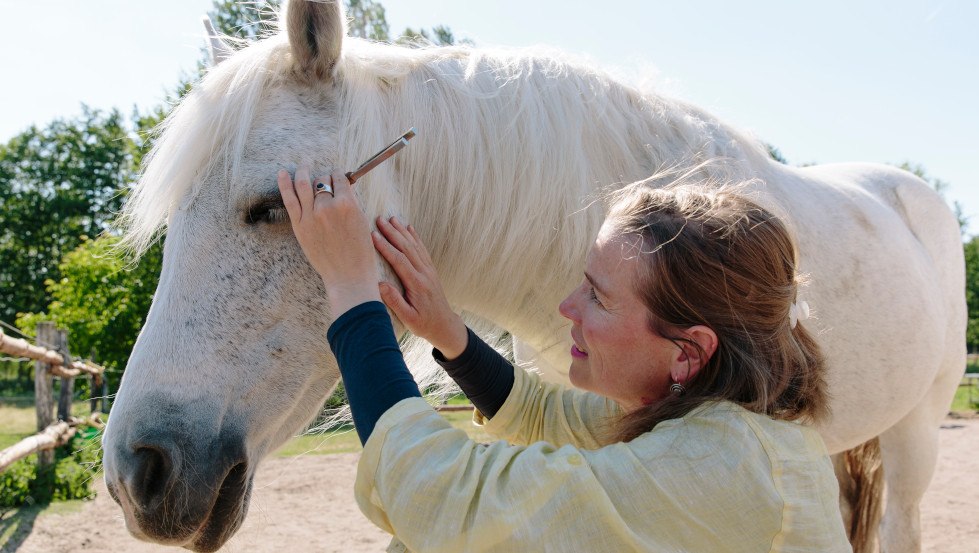 Sabine Schnabel - GELUID VOOR PAARDEN: Acupunctuurpunten en GOEDE VIBRATIES... // &copy; Anika B&uuml;ssemeier