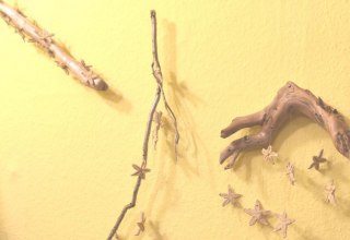 Mobile mit Seesternen aus der Ostsee, &copy; Marie-Luise Merkle