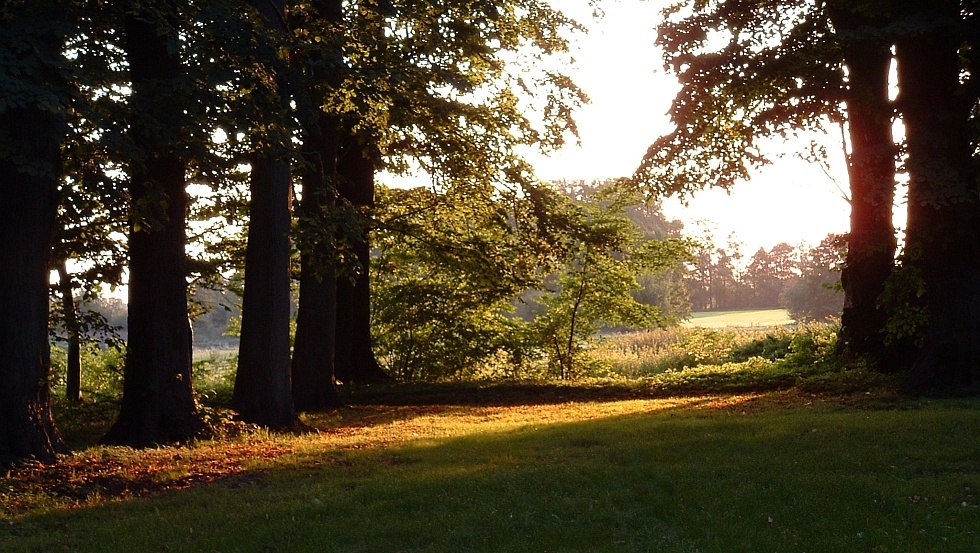 Sonnenaufgang im Park // &copy; Barockschlo&szlig; zu Griebenow e.V.