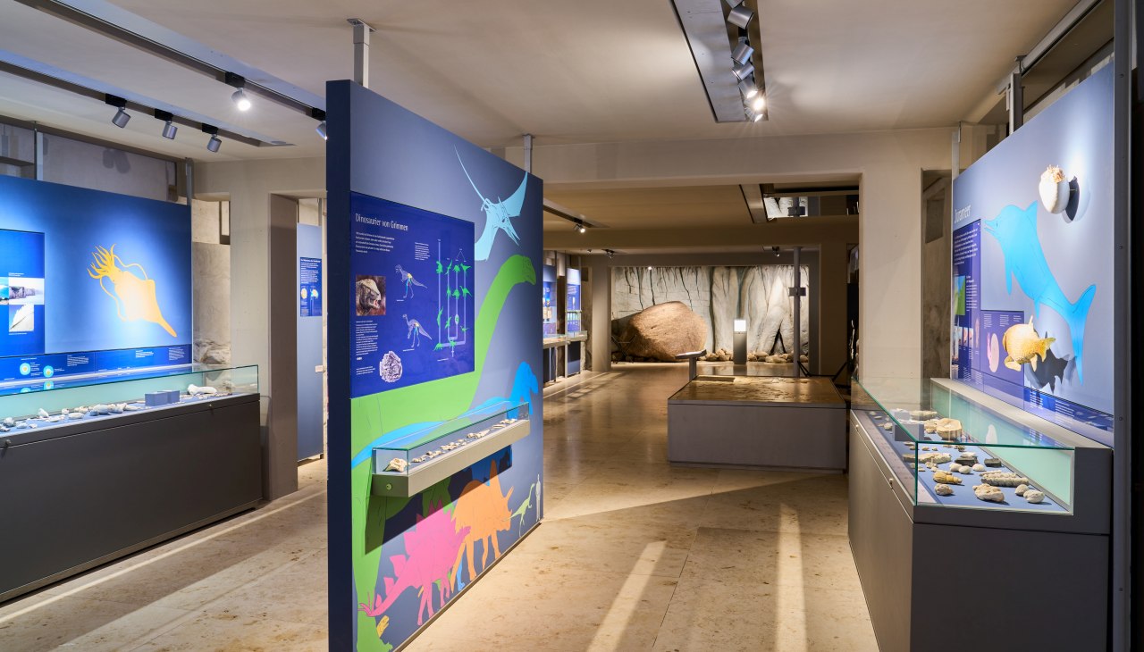 Erdgeschichte: Vom Saurier bis zur letzten Eiszeit, &copy; Pommersches Landesmuseum / Norman Posselt