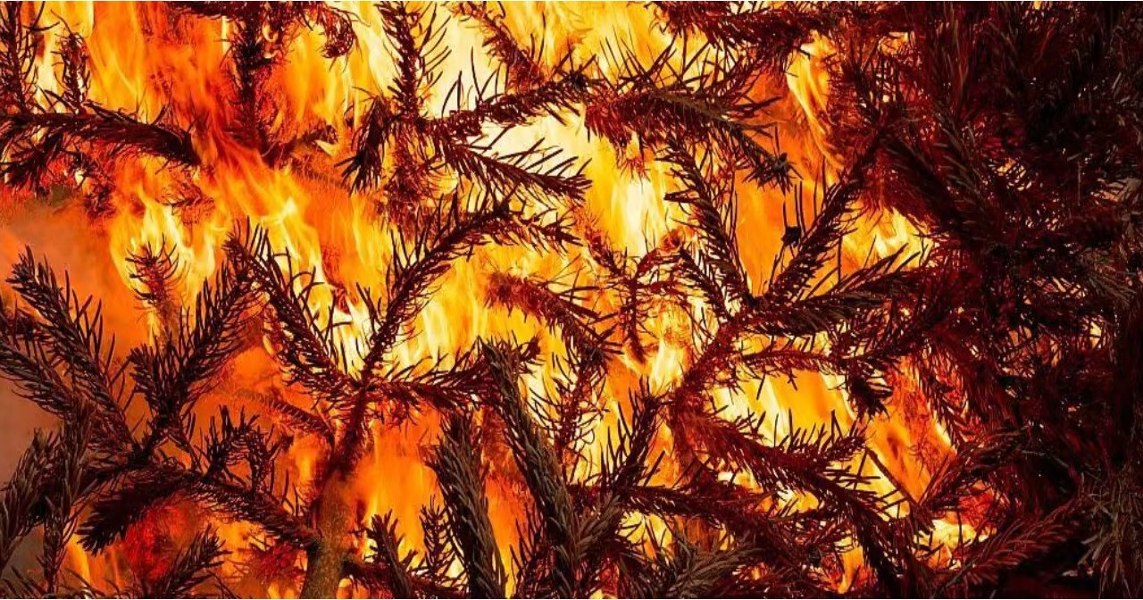 tannenbaumverbrennen, &copy; Gemeinde Ostseebad Glowe