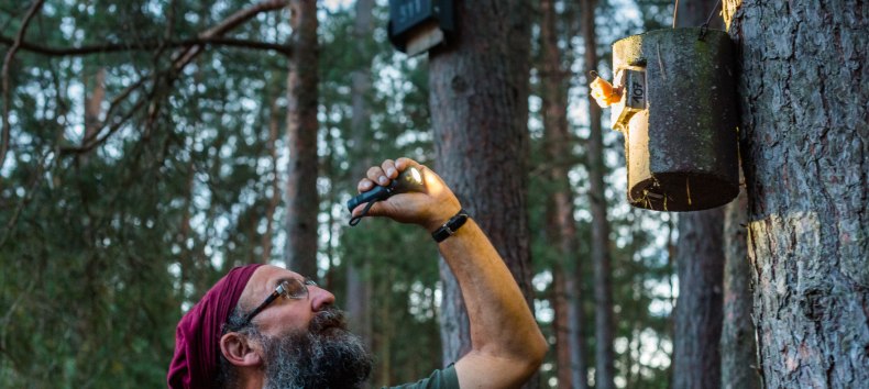 Fledermaus Wanderung mit Exkursion in der Nossentiner Schwinzer Heide