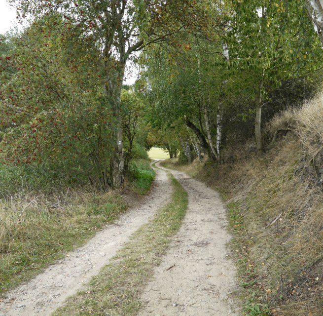 Landschaft bei Langen Brütz, © Naturpark Sternberger Seenland