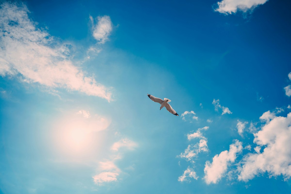Een reis in het blauw - verrassing gegarandeerd! // &copy; Foto von Artem Pechenkin auf Unsplash