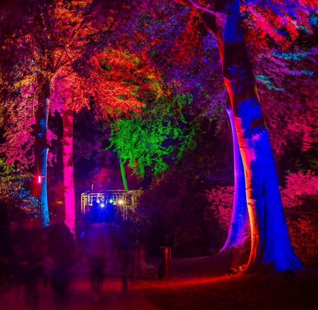 &raquo;Nachts im Park&laquo; &mdash; ein entspanntes Lichtkunst-Event // &copy; Andr&eacute; Pristaff / Tourismus- und Kur GmbH Graal-M&uuml;ritz