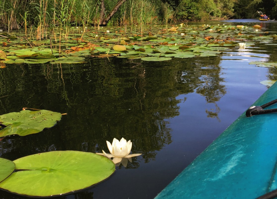 © TDG Rechlin mbH © TDG Rechlin mbH