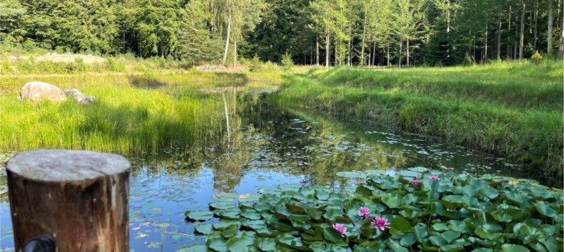 Natur im Einklang // &copy; S&uuml;dliche Boddenk&uuml;ste